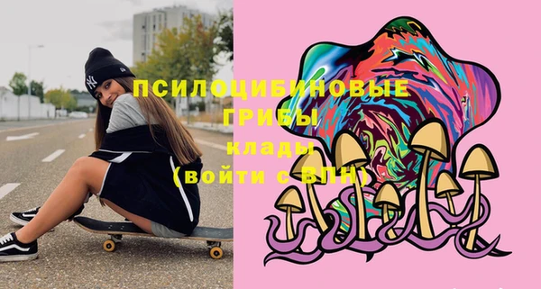 кокс Алексин