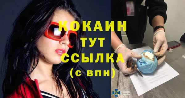 кокс Алексин