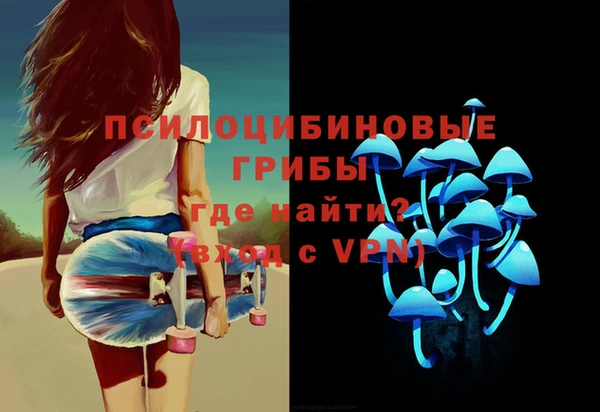 кокс Алексин