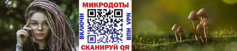 хочу   Кольчугино  мориарти формула  Псилоцибиновые грибы MAGIC MUSHROOMS 
